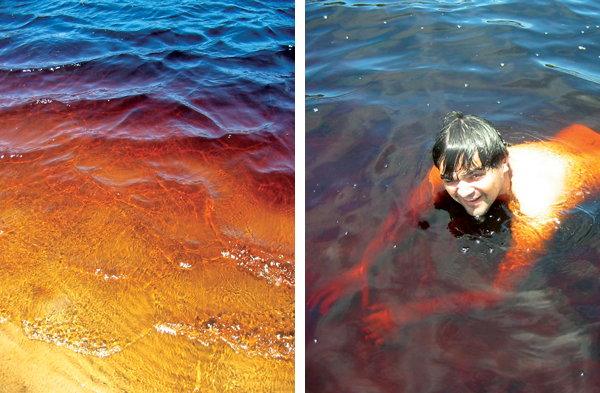 Lagoa de Coca-Cola - Fui e Vou Voltar - Alessandro Paiva