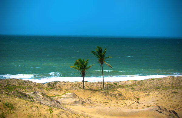 Divisa com a Paraíba - Fui e Vou Voltar - Alessandro Paiva