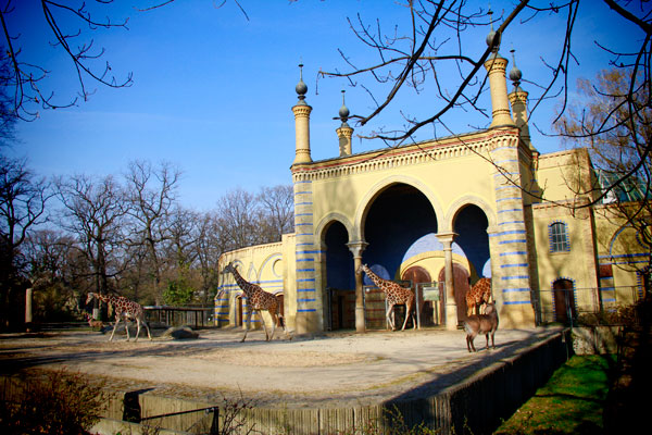 Girafas - Berlin - Fui e Vou Voltar - Alessandro Paiva