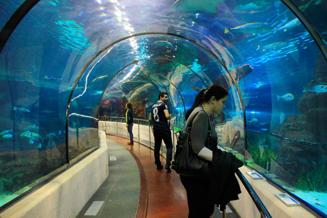 Túnel subaquático, no Aquarium Barcelona