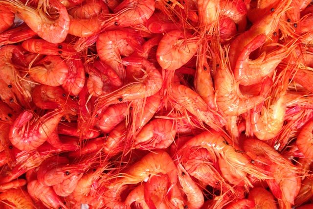 Camarões frescos, no La Boqueria