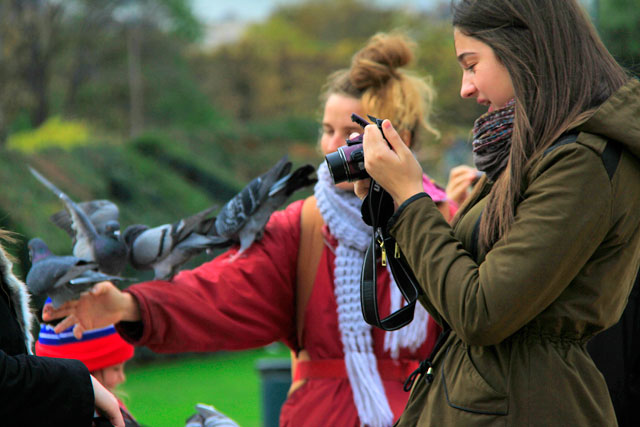 Jardin des Tuileries
