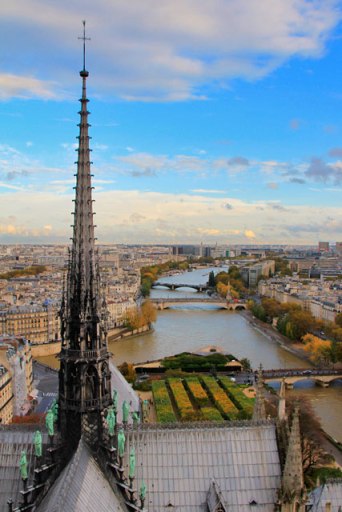 Paris vista do topo da Notre Dame