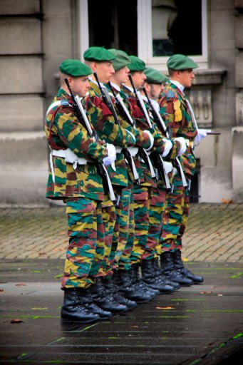 Guarda do Palais Royal de Bruxelles