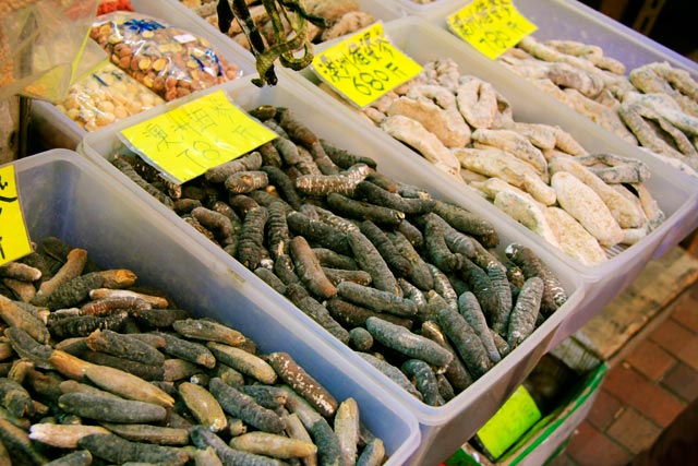 Pepinos-do-mar desidratados