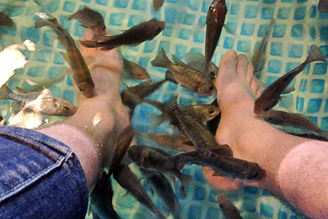 Peixes pedicure cuidam dos meus pés, no fish spa do Central Market