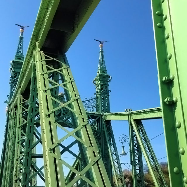 Ponte da Liberdade (via Instagram)