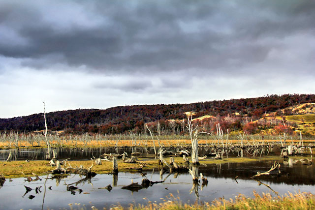 Paisagem vista da Rota 3