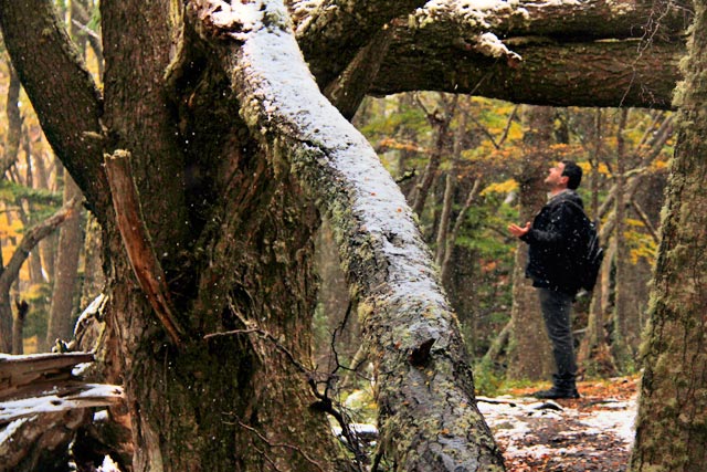 Neve começa a cair, na Senda Pampa Alta