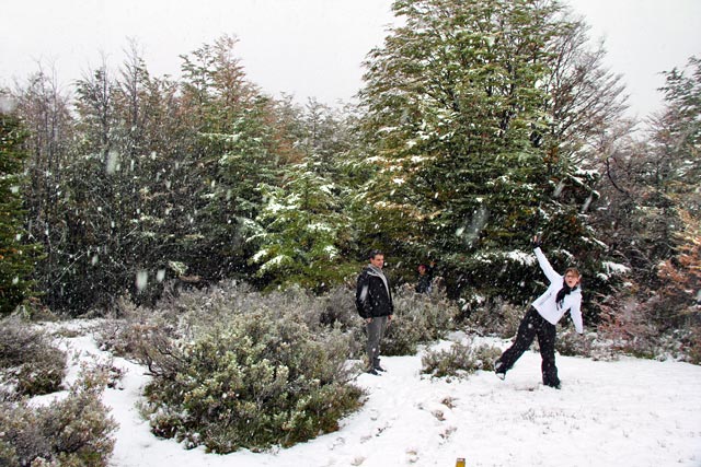 Clareira da Senda Pampa Alta, no Parque Nacional Tierra del Fuego