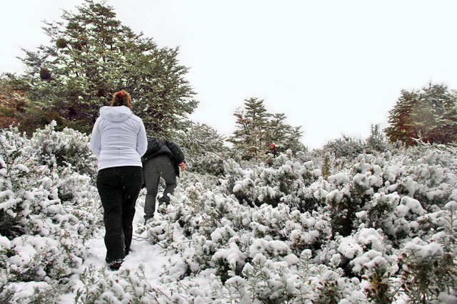 Senda Pampa Alta, no Parque Nacional Tierra del Fuego