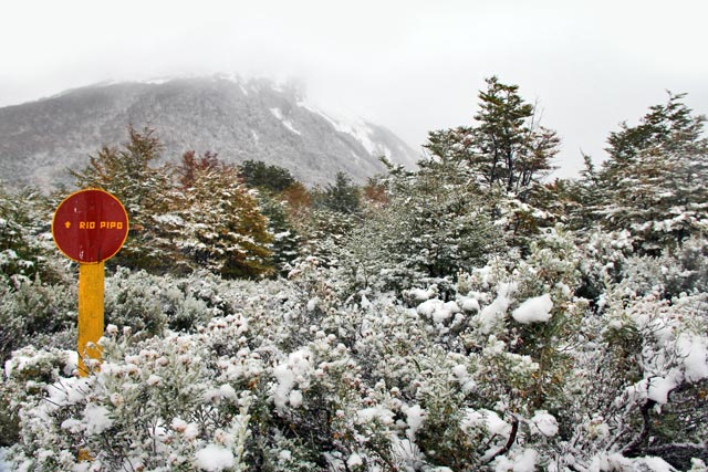 Senda Pampa Alta, no Parque Nacional Tierra del Fuego