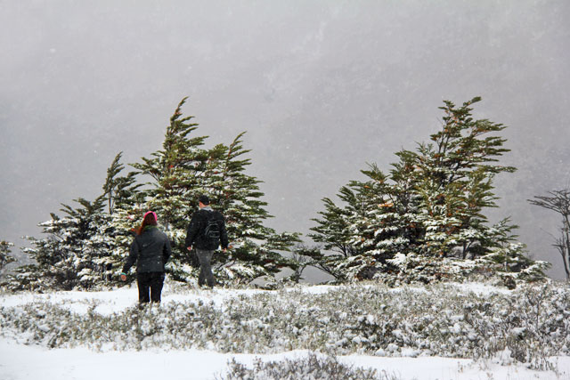 Mirante da Senda Pampa Alta, no Parque Nacional Tierra del Fuego