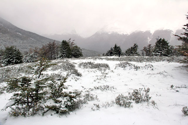 Mirante da Senda Pampa Alta, no Parque Nacional Tierra del Fuego