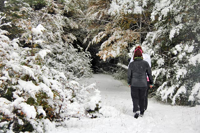 Senda Pampa Alta, no Parque Nacional Tierra del Fuego