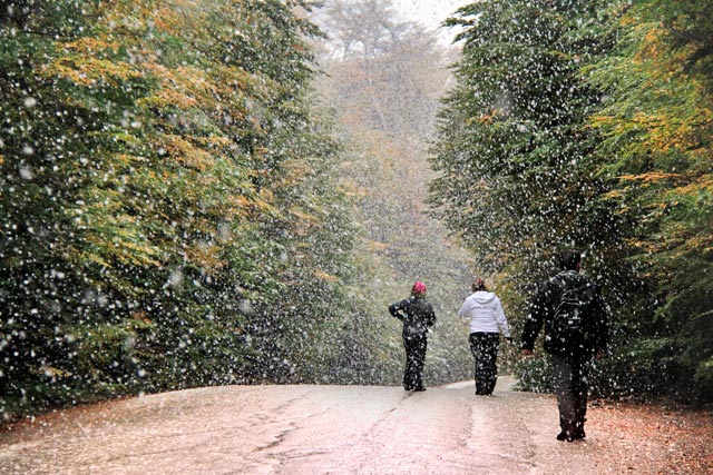 Parque Nacional Tierra del Fuego