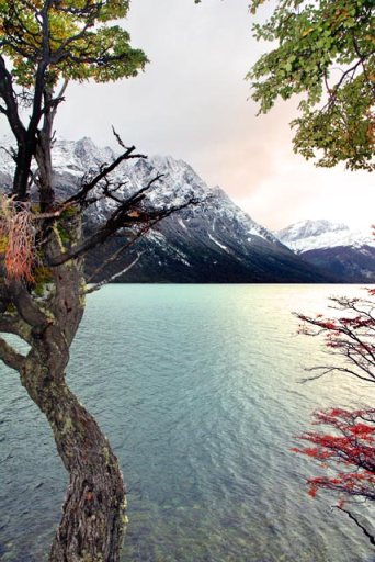Lago Roca, no Parque Nacional Tierra del Fuego