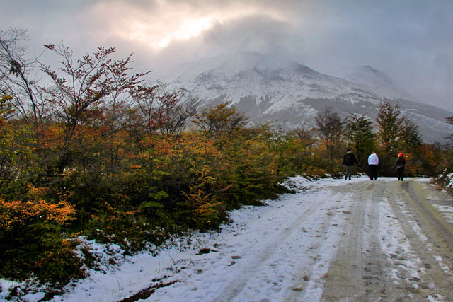 Parque Nacional Tierra del Fuego