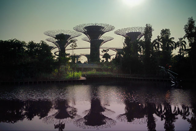Supertree Grove, no Gardens by the Bay, em Singapura