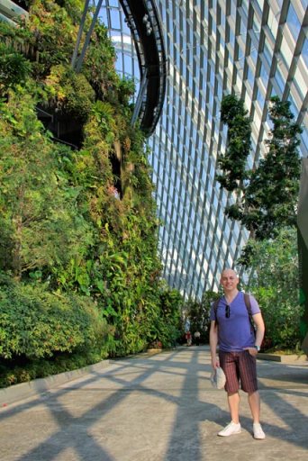 Cloud Forest (Floresta das Nuvens)