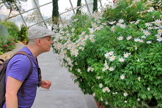 No Flower Dome (Cúpula das Flores), em Gardens by the Bay