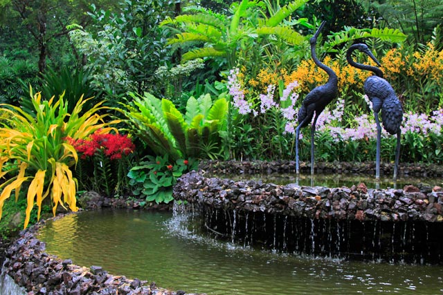 National Orchid Garden (Jardim Nacional das Orquídeas)