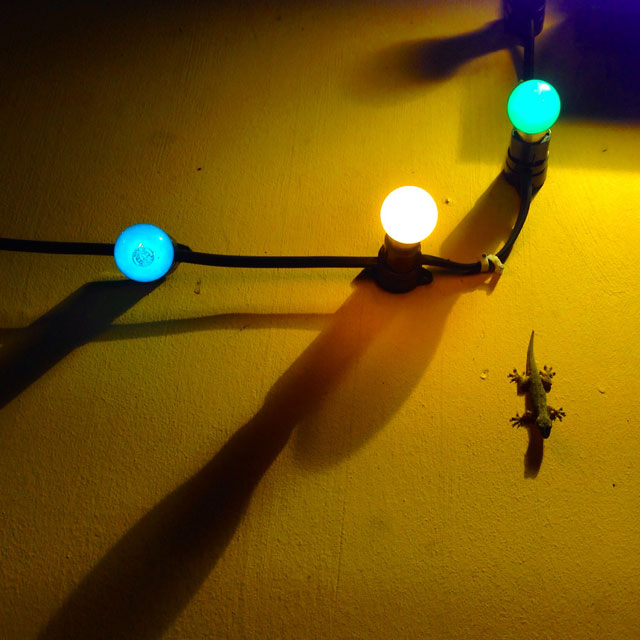 No Arab Quarter (via Instagram)