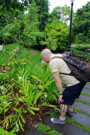 Fragrant Garden, no Botanic Gardens