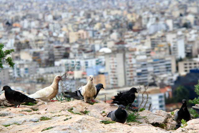 Atenas vista do Monte Philopappou