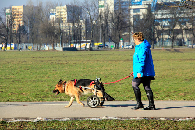 Parque Jordana, às margens da Av. Focha