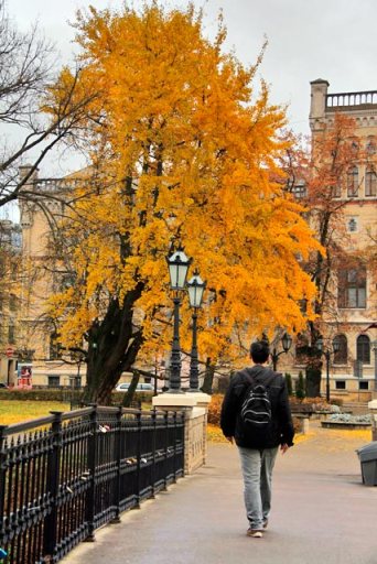 Parque da Colina do Bastião