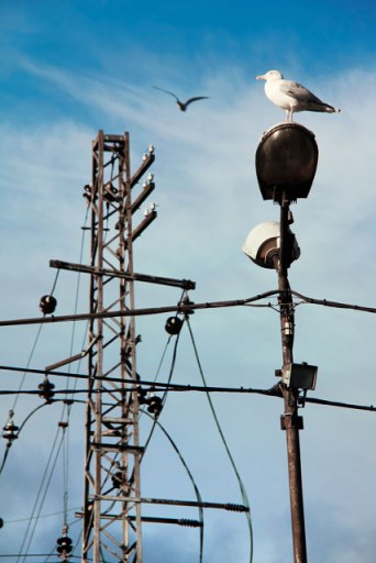 Terminal rodoviário de Riga