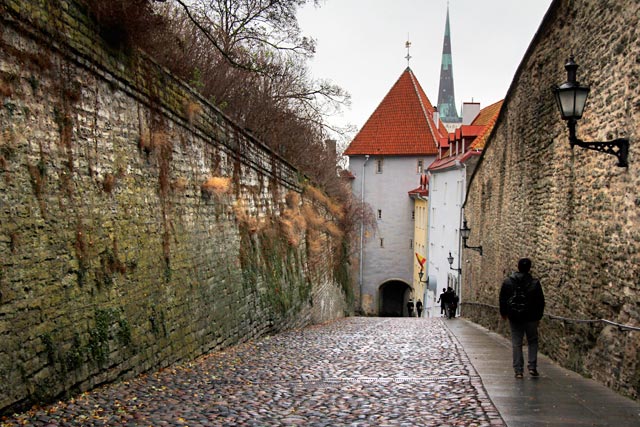 Pikk jalg e a Torre de Perna Longa