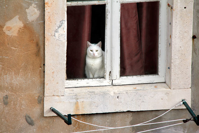 Residência da Cidade Velha vista das Muralhas de Dubrovnik