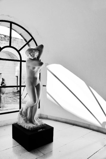 Museu de Arte Moderna e Contemporânea