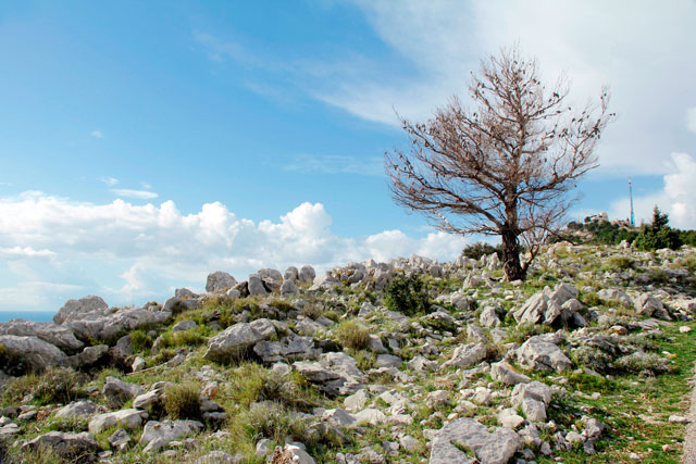 Subindo o Monte Srđ