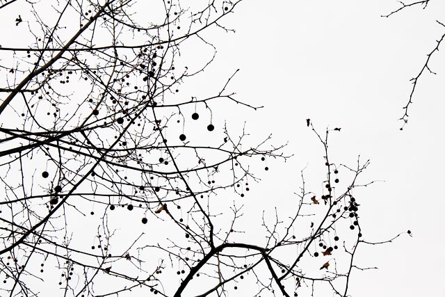 Parque Zrinjevac (rua Nikole Šubića Zrinskog)